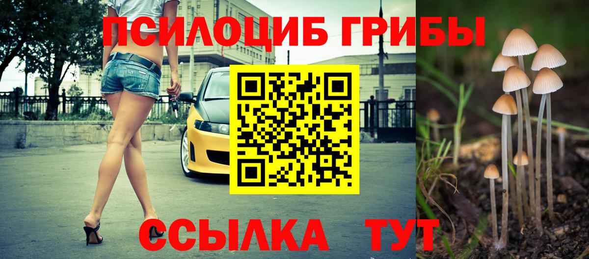 Азнакаево  Галлюциногенные грибы MAGIC MUSHROOMS  Вход с VPN  Галлюциногенные грибы Psilocybine cubensis 