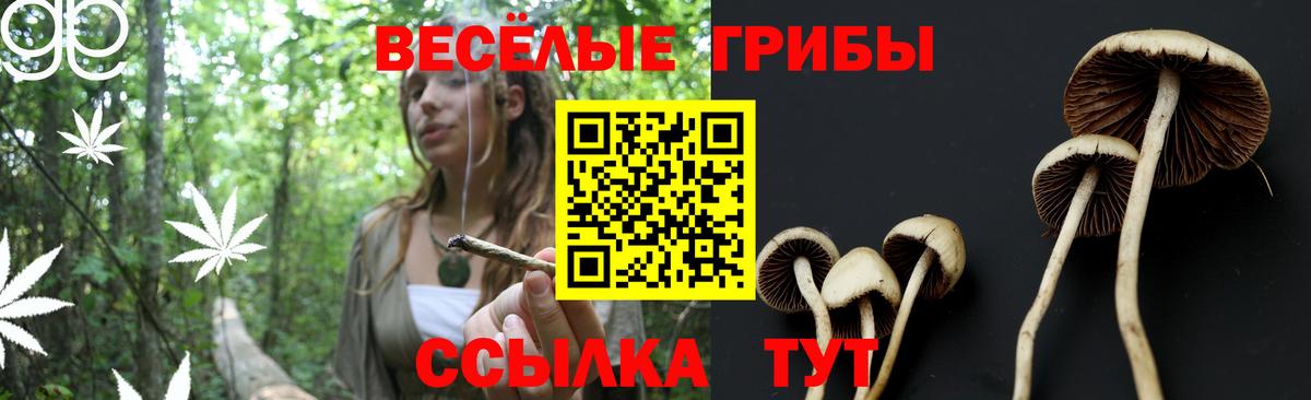 Галлюциногенные грибы прущие грибы Азнакаево